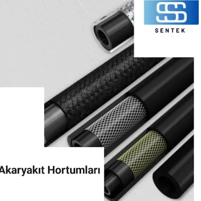 Sentek Dış Ticaret kapak görseli