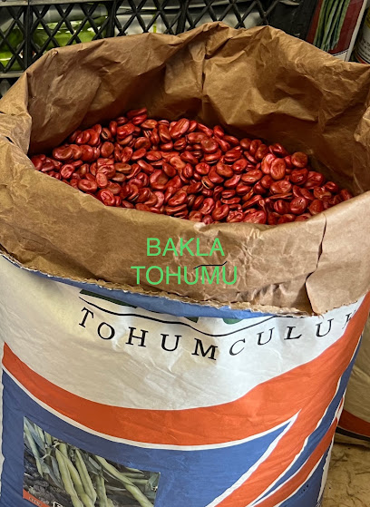 TEORİK TARIM kapak görseli