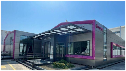 Evonik Ticaret Ltd. Şti. kapak görseli