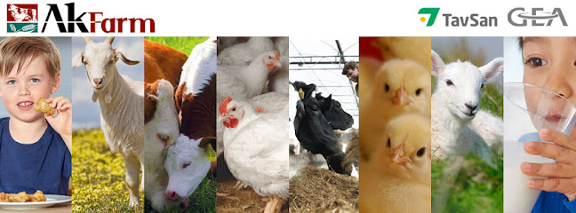 Ak-Farm kapak görseli