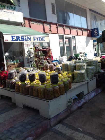 Ersin Fide kapak görseli