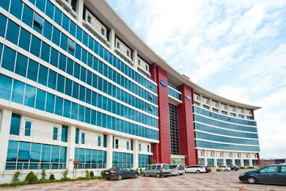 Denge Çatı Kaplama - Merkez Ofis ( Kenet Çatı Malzemeleri ) kapak görseli
