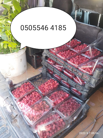 Hilal fidancılık kapak görseli