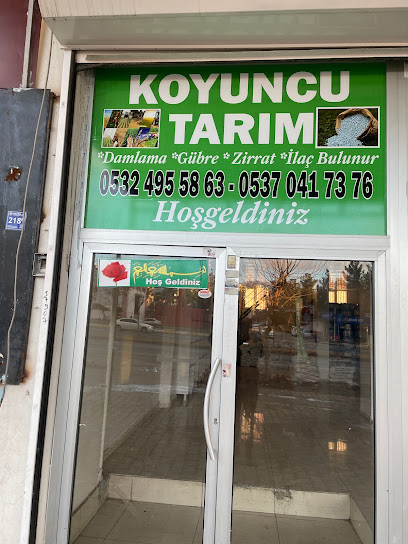 Koyuncu tarım kapak görseli