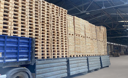 Biz Ambalaj Orman Ürünleri kapak görseli