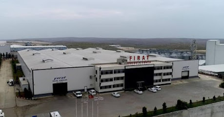 Fırat Motor Ve Pompa Elektrik Sanayi Anonim Şirketi kapak görseli