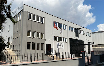 Pozitif Bağlantı Elemanları kapak görseli
