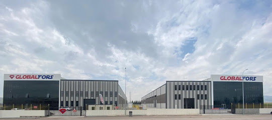 GLOBALFORS CORPORATION kapak görseli