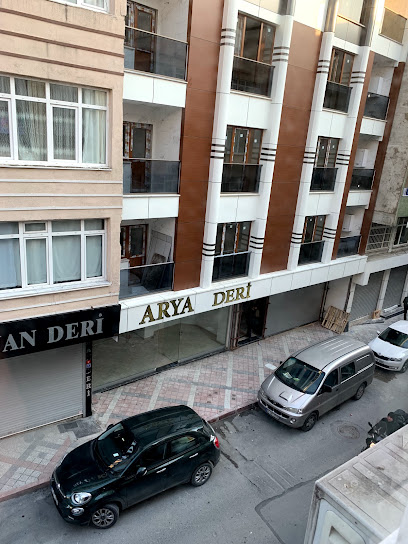 Arya Deri kapak görseli
