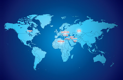 Mena-Kim Group kapak görseli