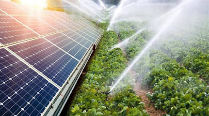 MERTOĞLU GRUP AŞ. TARIM GARAJ SULAMA SOLAR ENERJİ kapak görseli
