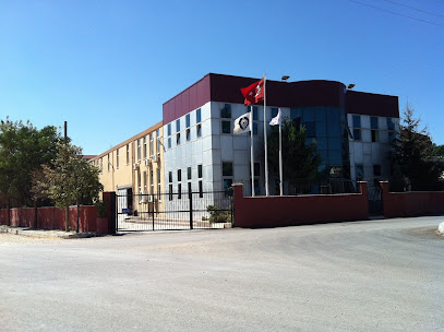 El-San kapak görseli