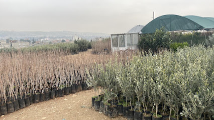 Yıldırım Fidancılık Ticaret kapak görseli