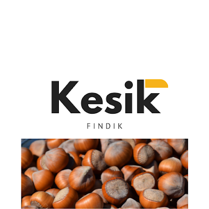 Kesik Tarim kapak görseli