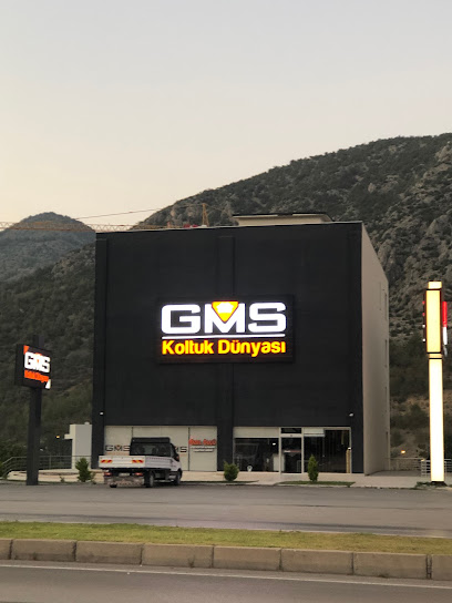 GMS Koltuk Dünyası kapak görseli