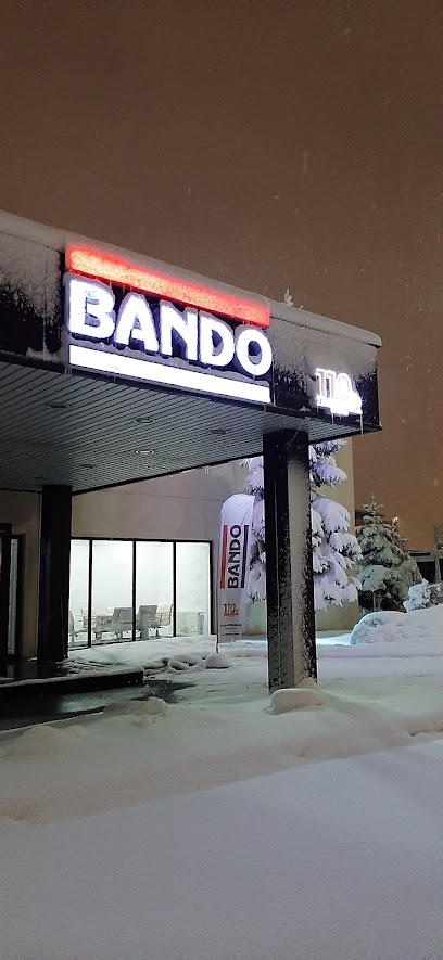 Bando Kayış Sanayi Ve Ticaret (TÜRKİYE) A.Ş. kapak görseli