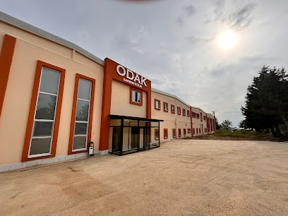 Odak Konservecilik & Gıda Ltd. Şti kapak görseli