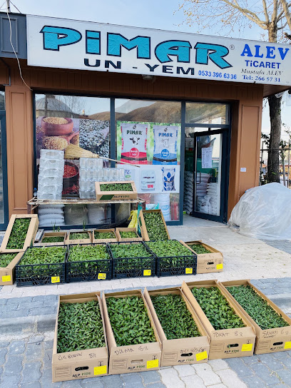 ALEV TİCARET kapak görseli