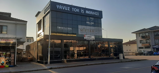 Triz Global İthalat İhracat San.ve Tic.Ltd.Şti kapak görseli