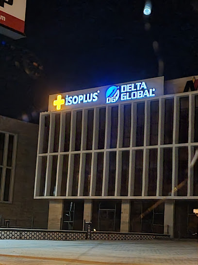 DELTA GLOBAL kapak görseli