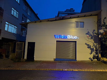 WhiteBlue Pvc Kenar Bandı kapak görseli