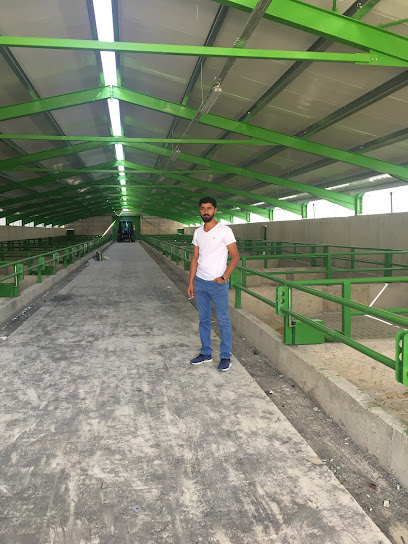 ÇETİNLER BESİCİLİK NAİF ÇETİN kapak görseli