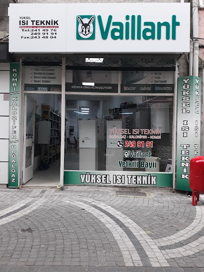 Vaillant kapak görseli