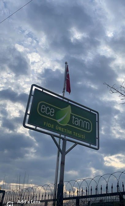Ece Tarım Fidelik işletmesi kapak görseli