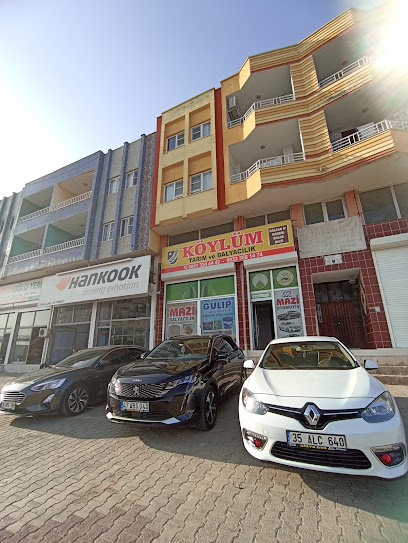 Köylüm Tarım Balyacılık Ve Gül İp kapak görseli