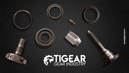 TIGEAR GEAR INDUSTRY kapak görseli