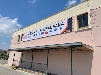 Aslan Kurumsal Vana - Aslan Kurumsal Adana kapak görseli
