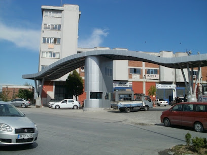 SKF-FAG Rulman Sanayi kapak görseli