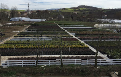 BAHÇE BOTANİK kapak görseli