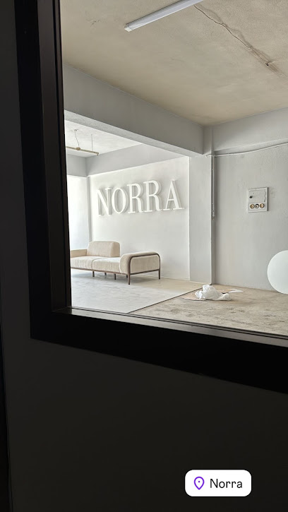 Norra kapak görseli