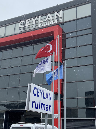 Ceylan Rulman kapak görseli