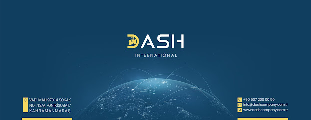 Dash International kapak görseli