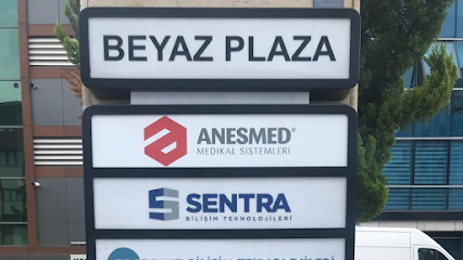 Anesmed Medical Systems kapak görseli