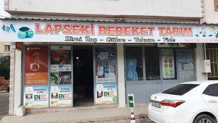Lapseki Bereket Tarım kapak görseli