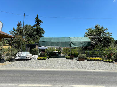 Yusuf fidancılık peyzaj kapak görseli