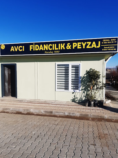 Malatya Avcı Fidancılık kapak görseli