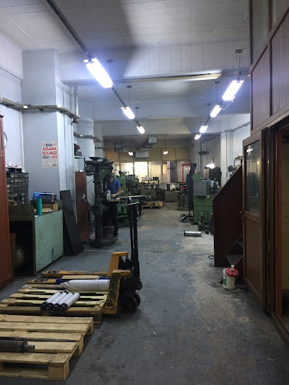 BİRİKİM DİŞLİ kapak görseli