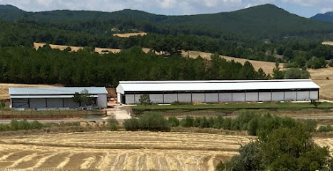 Kozakoğlu Süt ve Besi Çiftliği kapak görseli