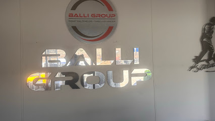 BALLI GROUP kapak görseli