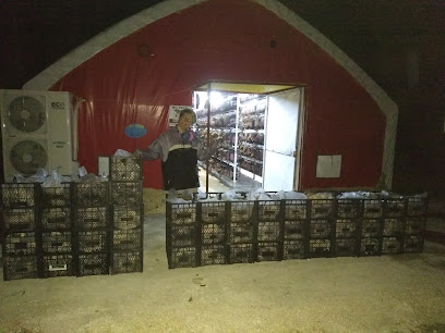 Lna Gıda Tarım Makina kapak görseli