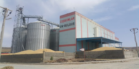 Öz Coşkunlar Un ve Bulgur Fabrikası kapak görseli