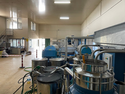 Altan gida zeytin yağ fabrikasi - Altolivia kapak görseli