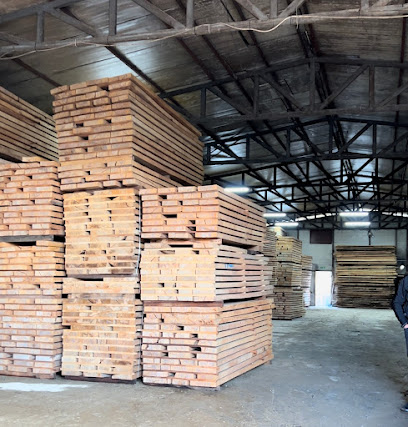 Tomris Orman Ürünleri Ltd. Şti. kapak görseli