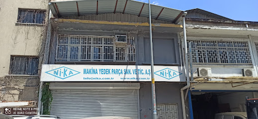 Nika Çelik kapak görseli
