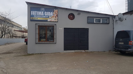 FATİMA GIDA İNŞAAT TAŞIMACILIK TURİZM SAN. VE TİC.LİMİTED ŞİRKETİ kapak görseli
