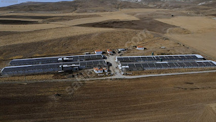 Karadağlar Grup Enerji Inşaat Hay San Tic Ltd kapak görseli